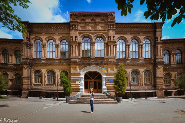 Как вывести деньги с кракена